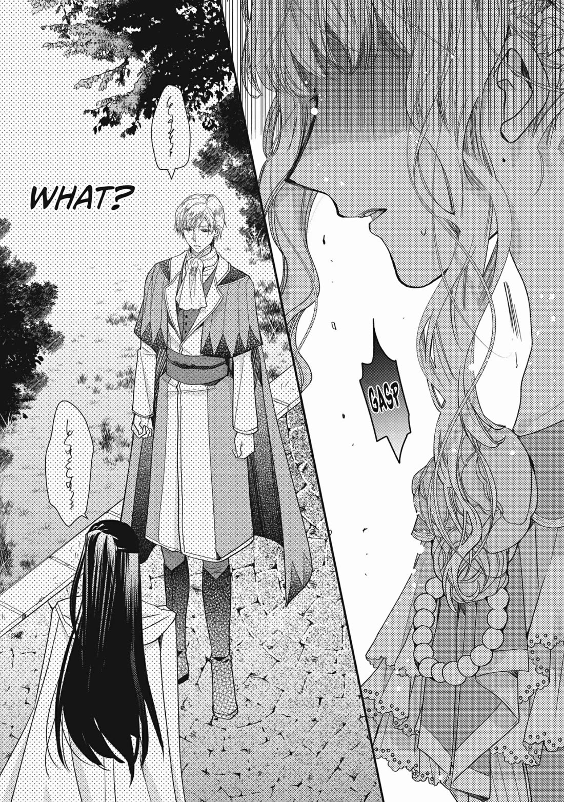 Princess Bibliophile chapter 43 page 11