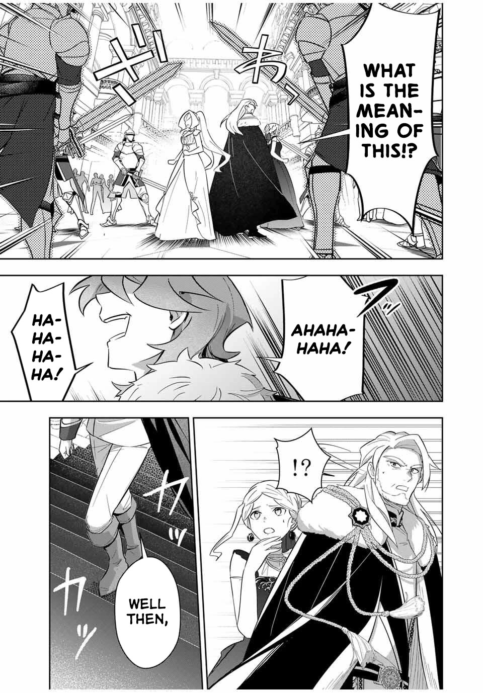Princess Reincarnation ~ The Legendary Arch Mage (♂) becomes a Princess Knight and creates a Legendary Order of Lady Knights and becomes unrivaled ~ chapter 5 page 7