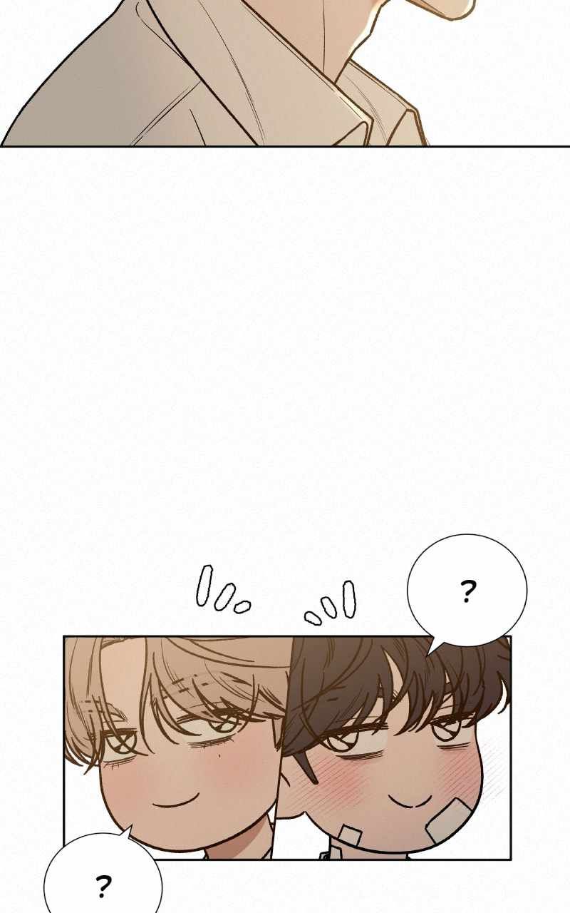 Pure Love Operation chapter 69 page 4