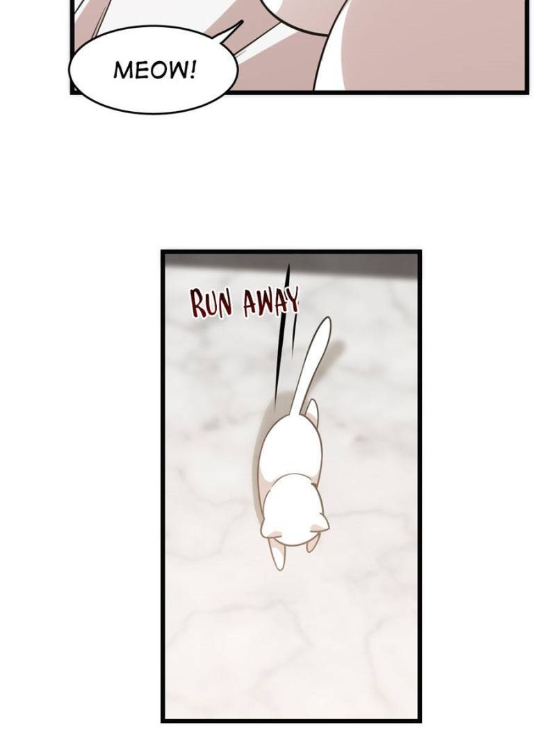 Queen of Poison: the Legend of a Super Agent, Doctor and Princess chapter 138 page 15