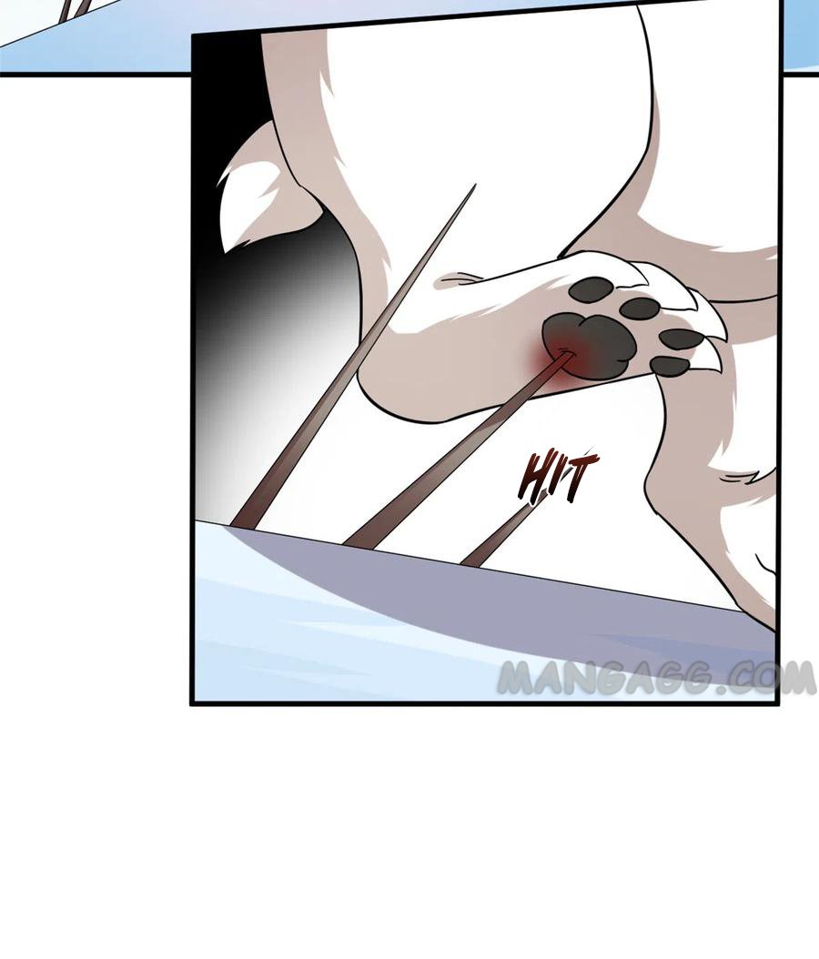 Queen of Poison: the Legend of a Super Agent, Doctor and Princess chapter 208 page 23