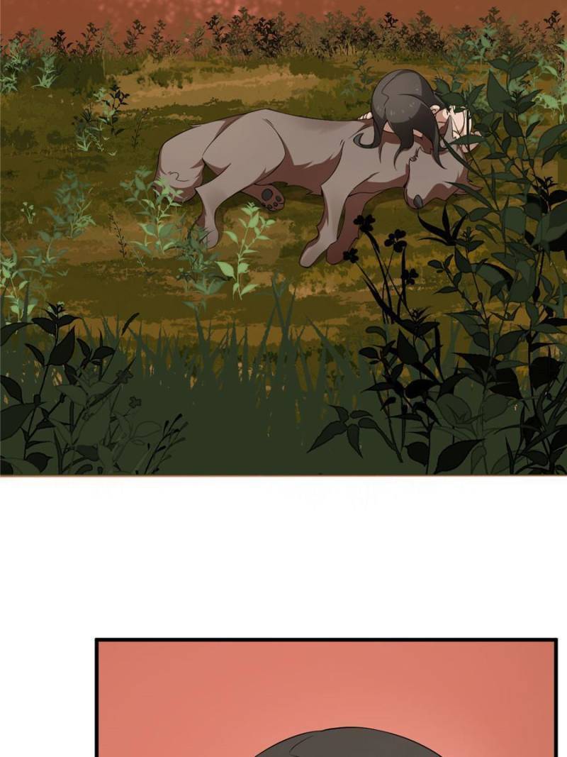 Queen of Poison: the Legend of a Super Agent, Doctor and Princess chapter 380 page 5