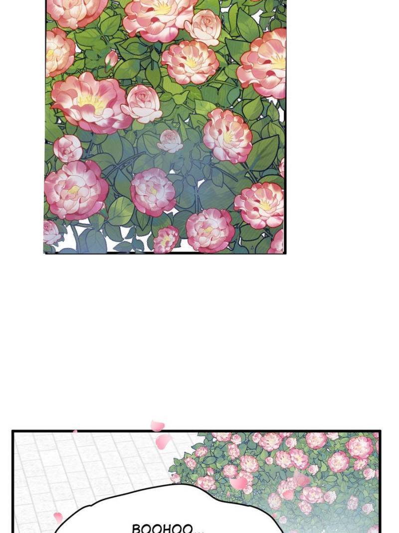 Queen of Poison: the Legend of a Super Agent, Doctor and Princess chapter 385 page 14