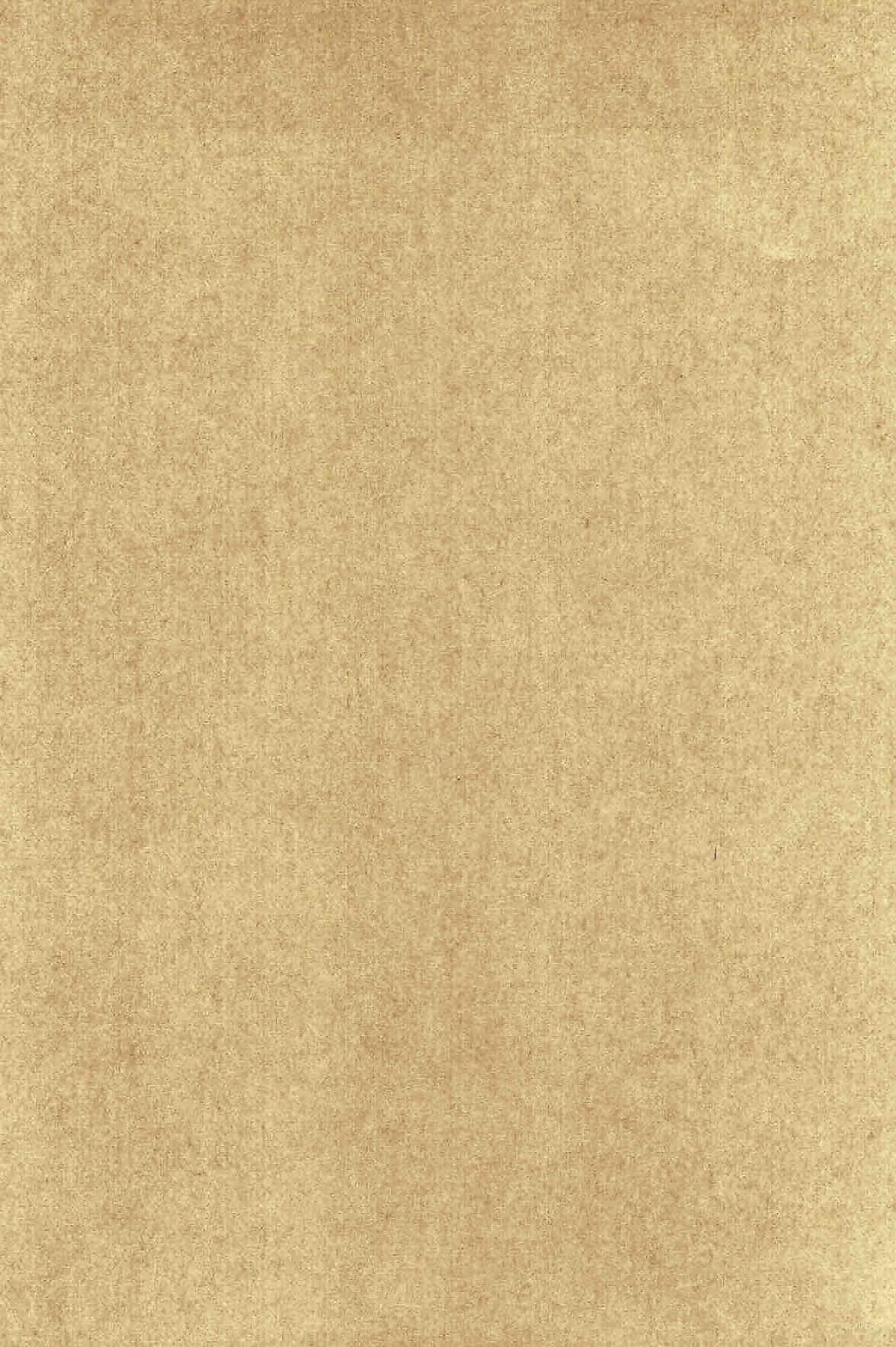 Rage!! The Gokutora Family chapter 39 page 4