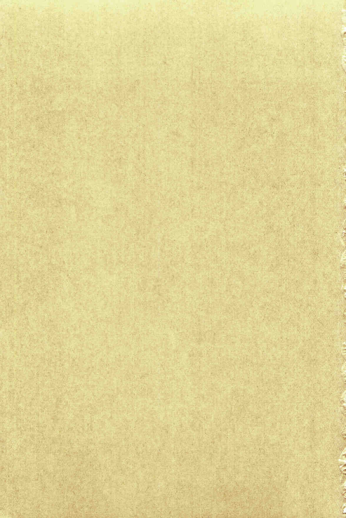 Rage!! The Gokutora Family chapter 47 page 19