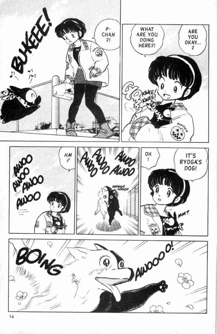 Ranma 1/2 chapter 103 page 15