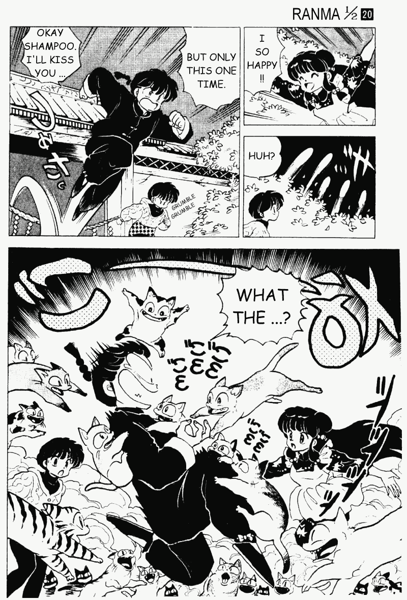 Ranma 1/2 chapter 208 page 14