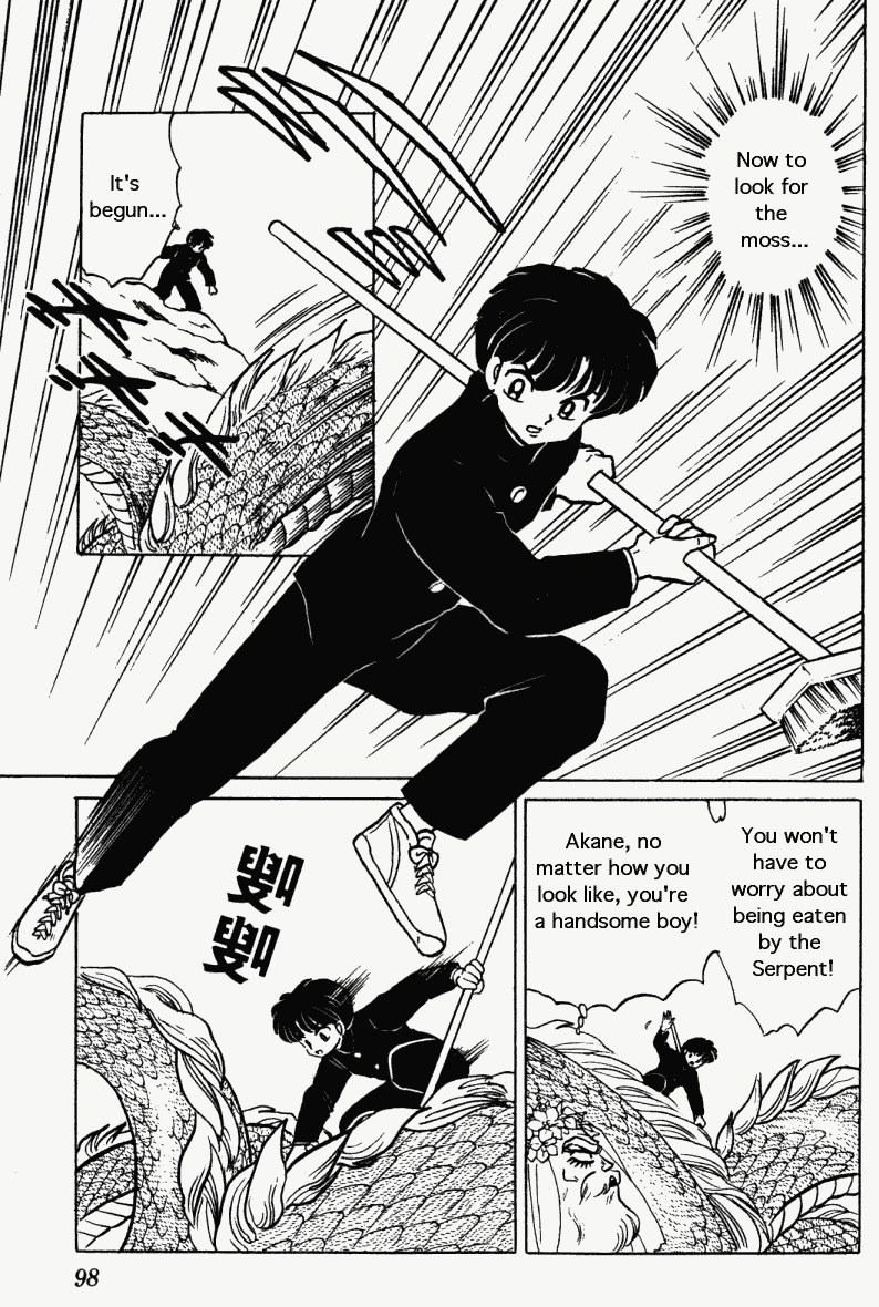 Ranma 1/2 chapter 273 page 13