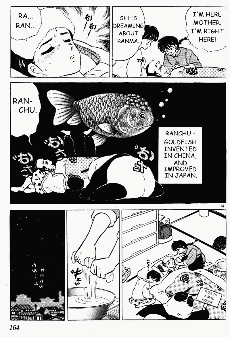 Ranma 1/2 chapter 321 page 13