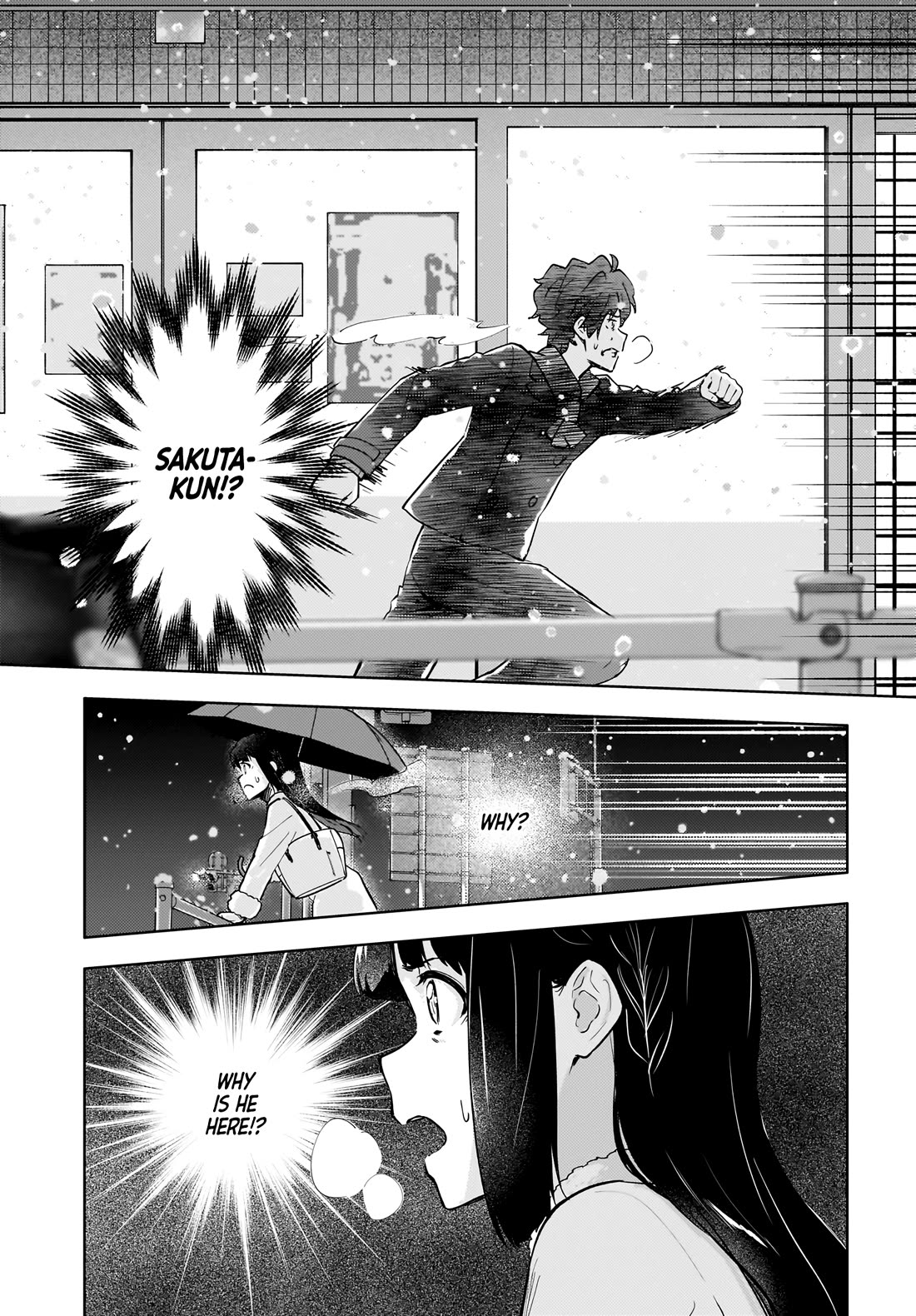 Rascal Does Not Dream of a Dreaming Girl chapter 10.2 page 14