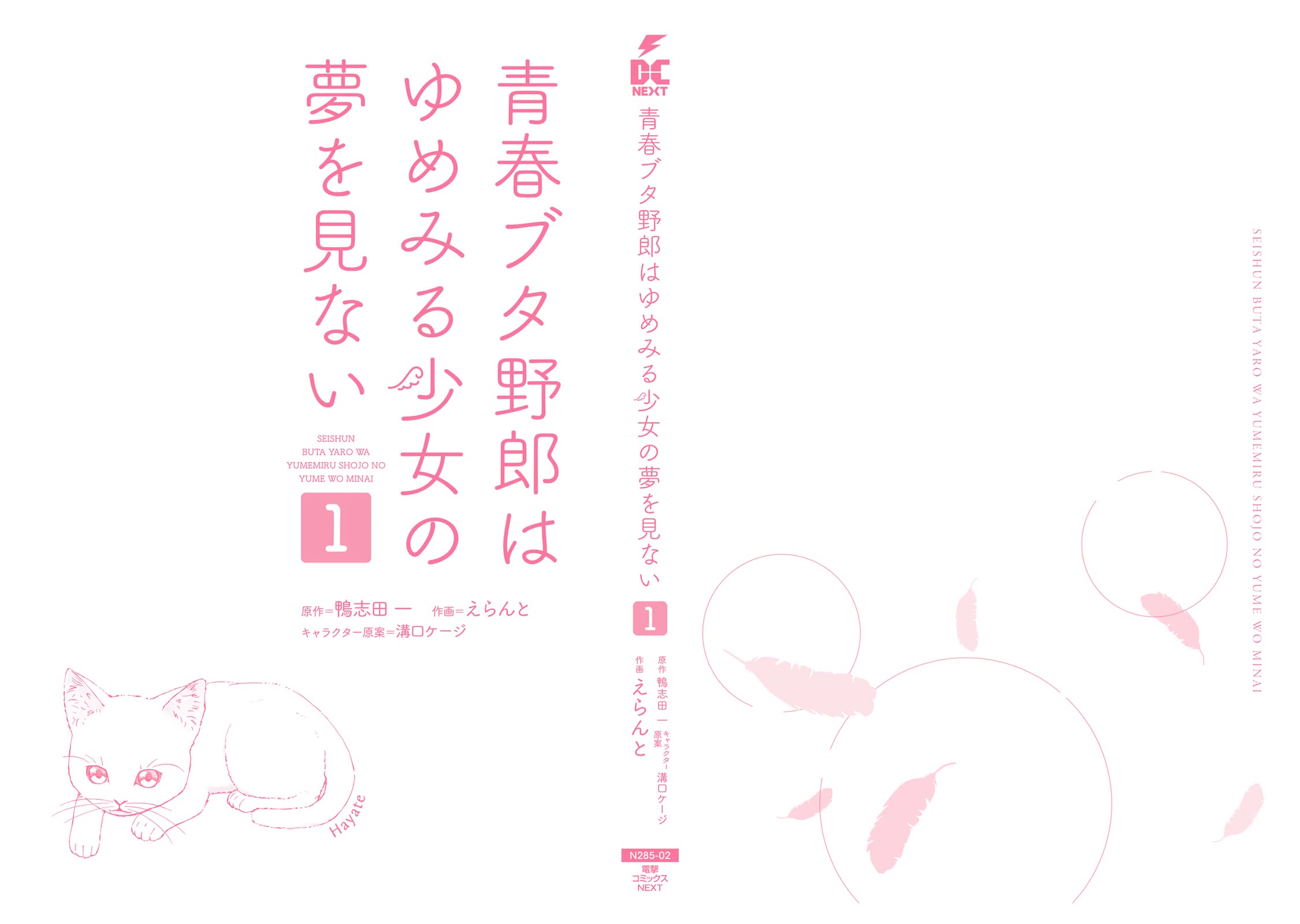 Rascal Does Not Dream of a Dreaming Girl chapter 4.5 page 11