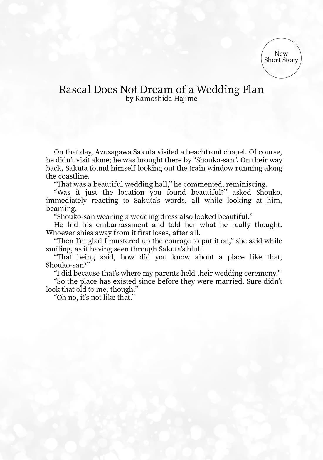 Rascal Does Not Dream of a Dreaming Girl chapter 9.5 page 10
