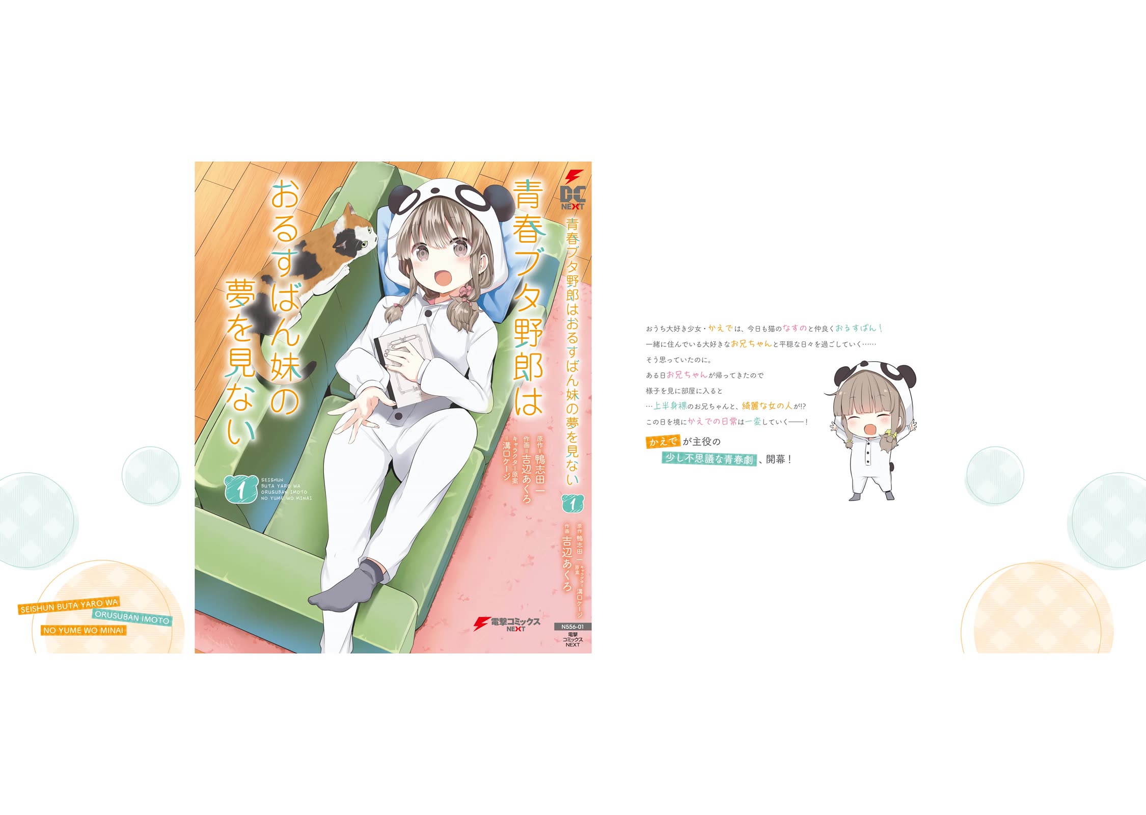 Rascal Does Not Dream of a Sister Home Alone chapter 6.5 page 11