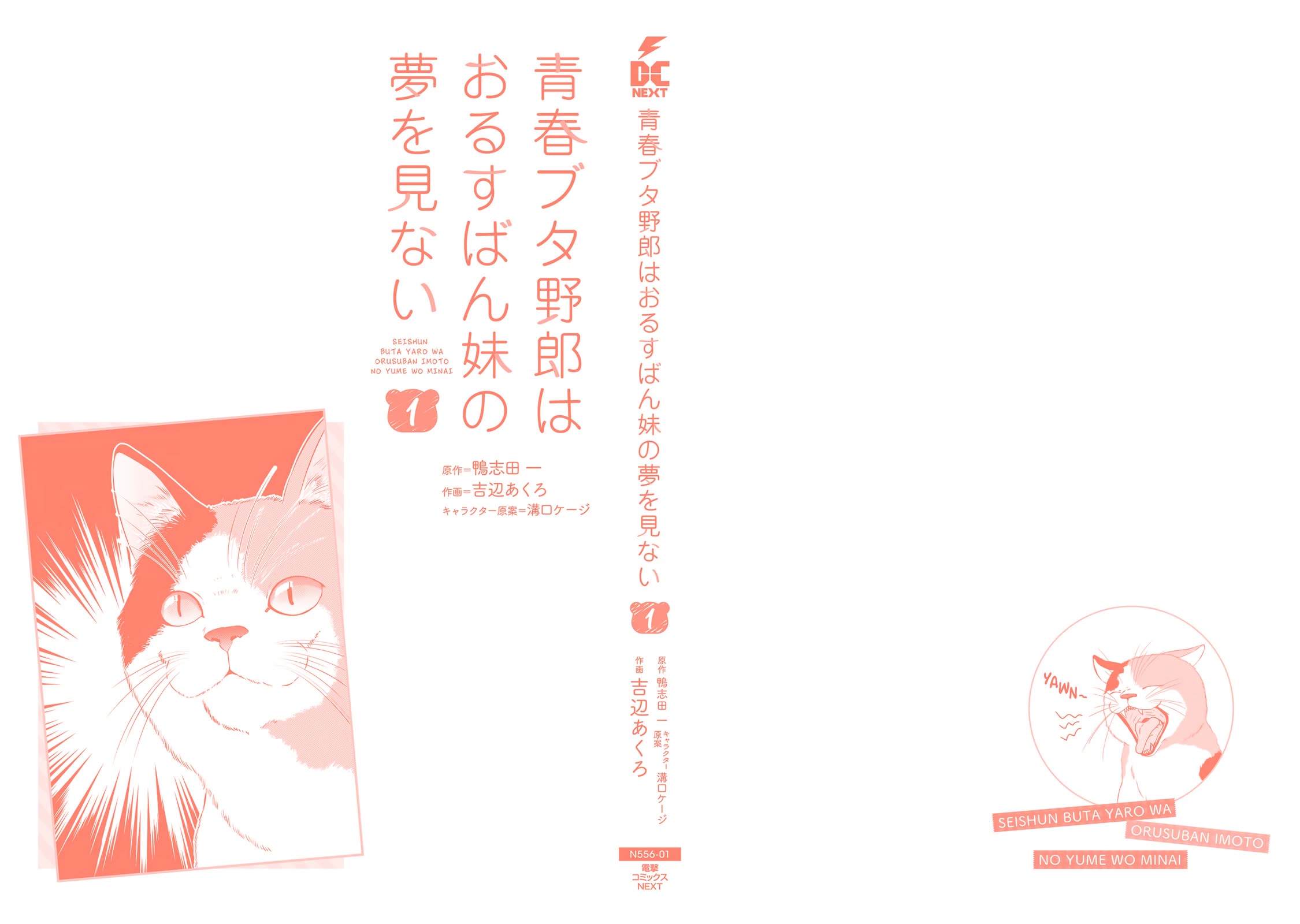 Rascal Does Not Dream of a Sister Home Alone chapter 6.5 page 12