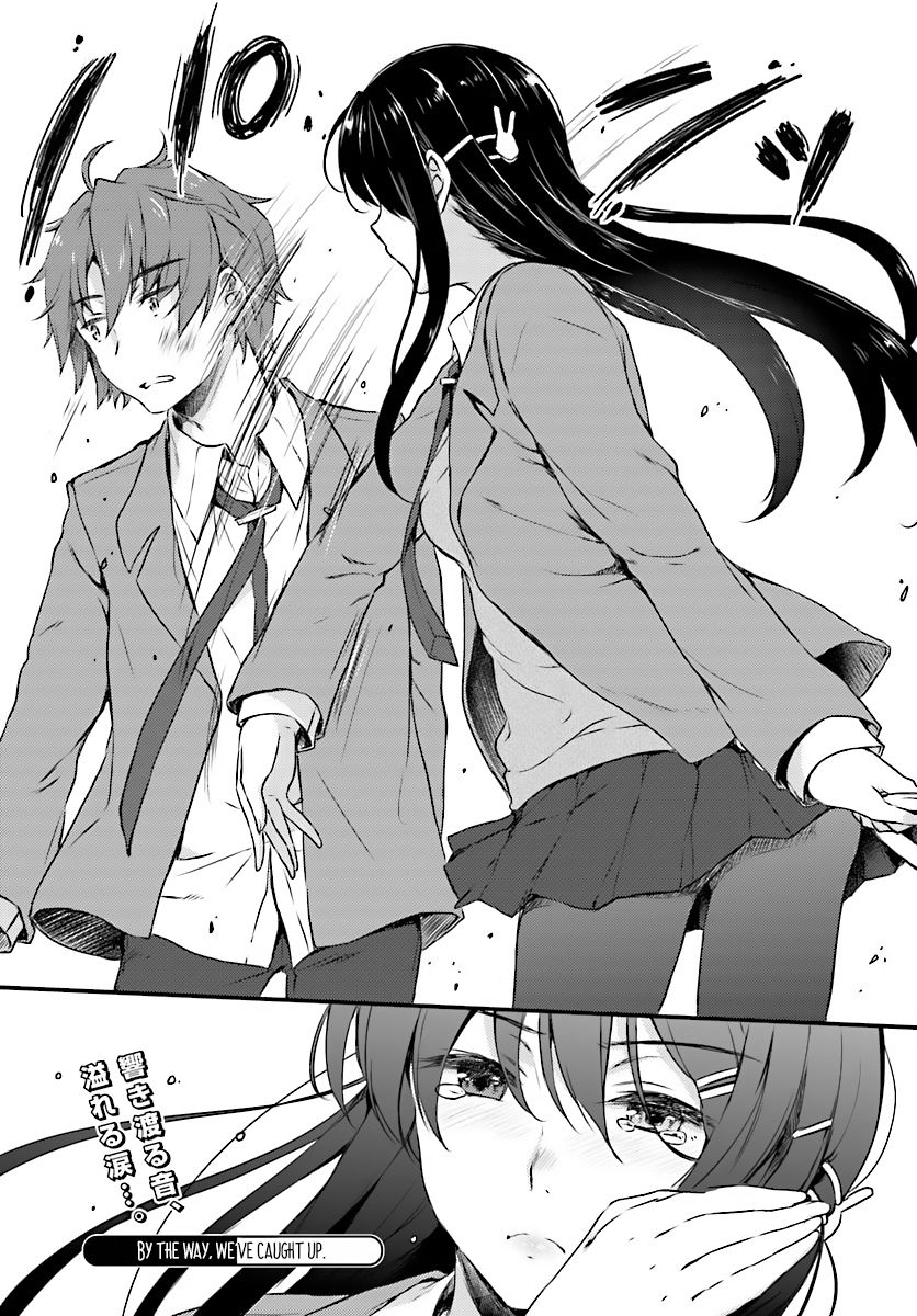 Rascal Does Not Dream of Bunny Girl Senpai chapter 8 page 18