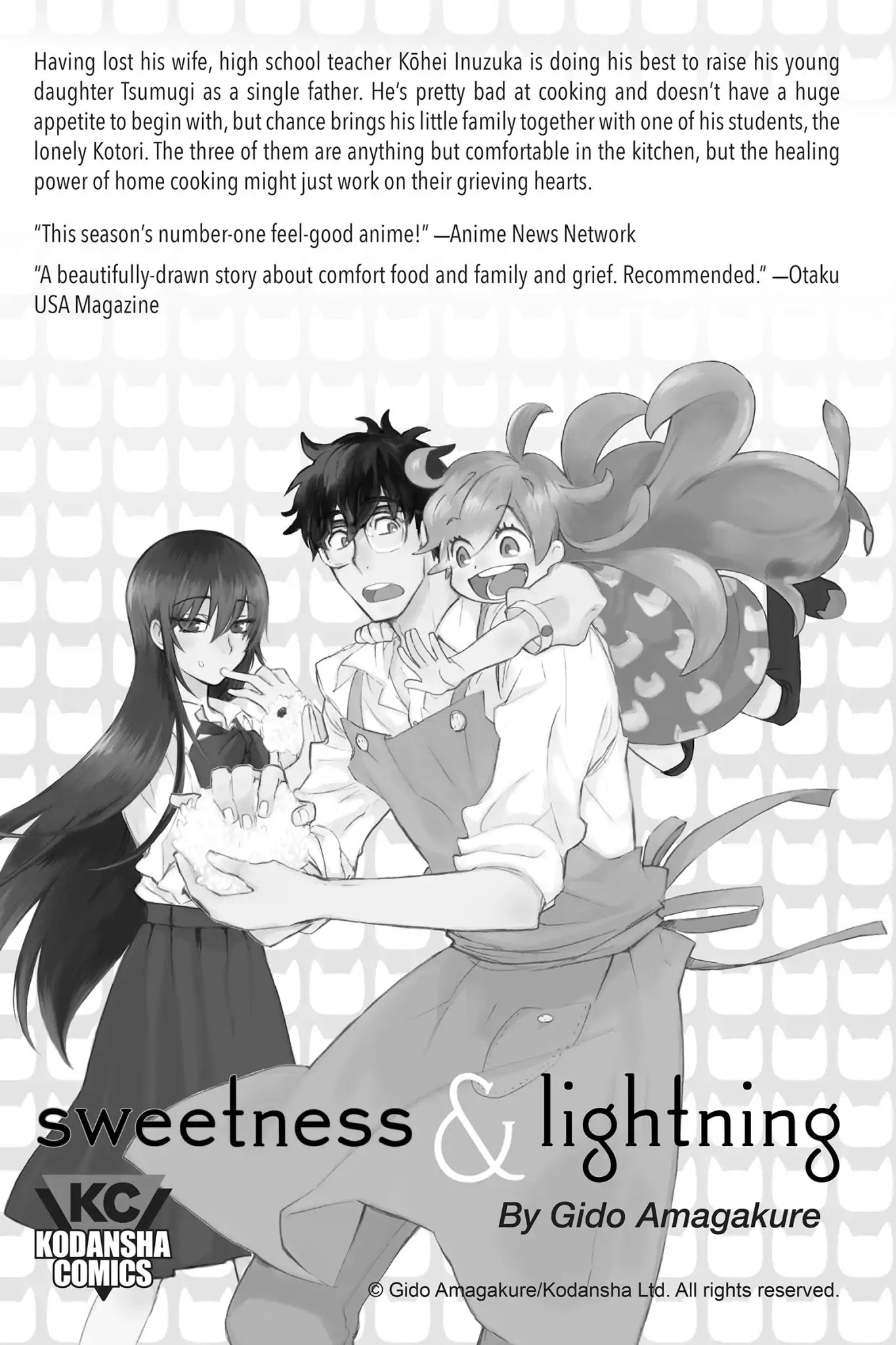 Real Account II chapter 48 page 36
