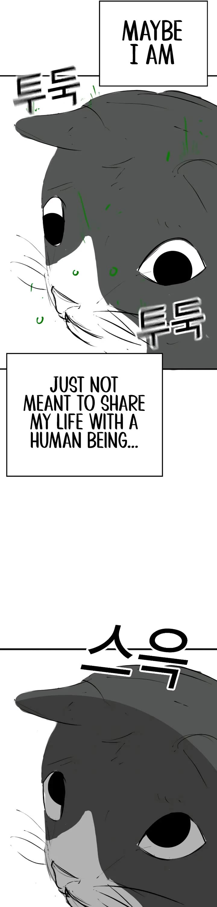 Reality Quest chapter 164.9 page 37