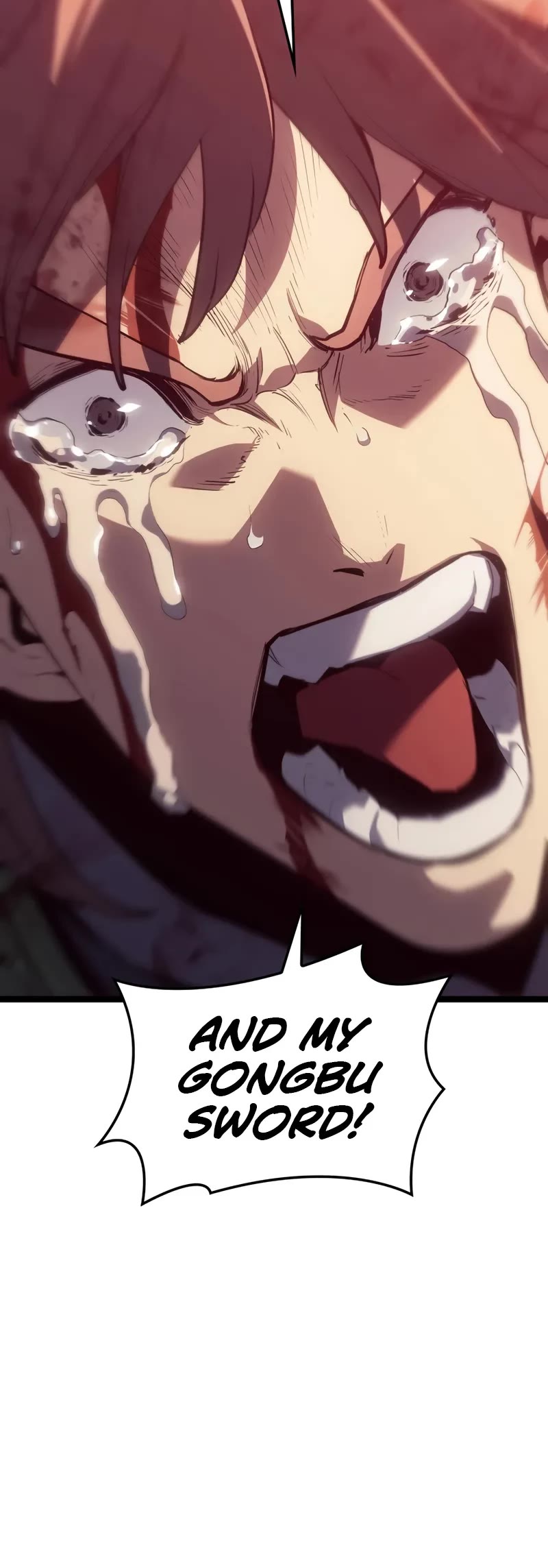 Reaper of the Drifting Moon chapter 103 page 31