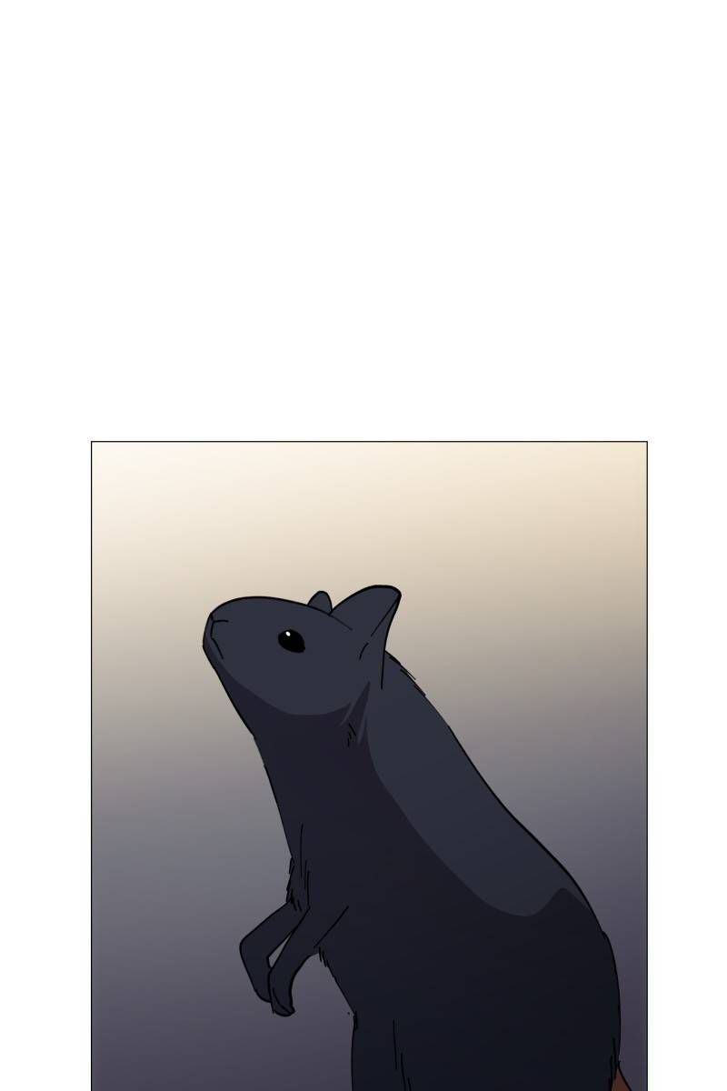 Rebirth-69michi chapter 143 page 33