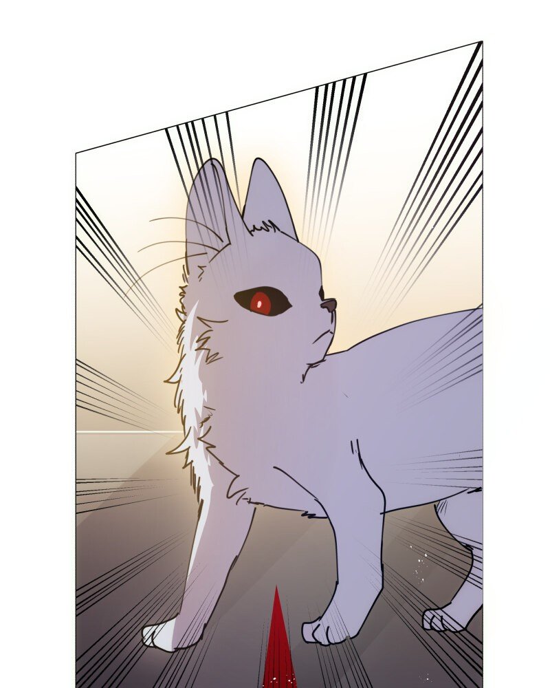 Rebirth chapter 106 page 38