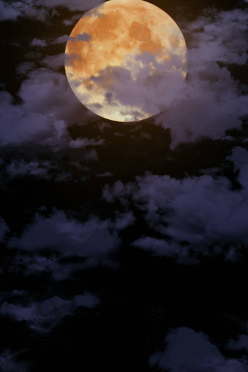 Rebirth chapter 135 page 13