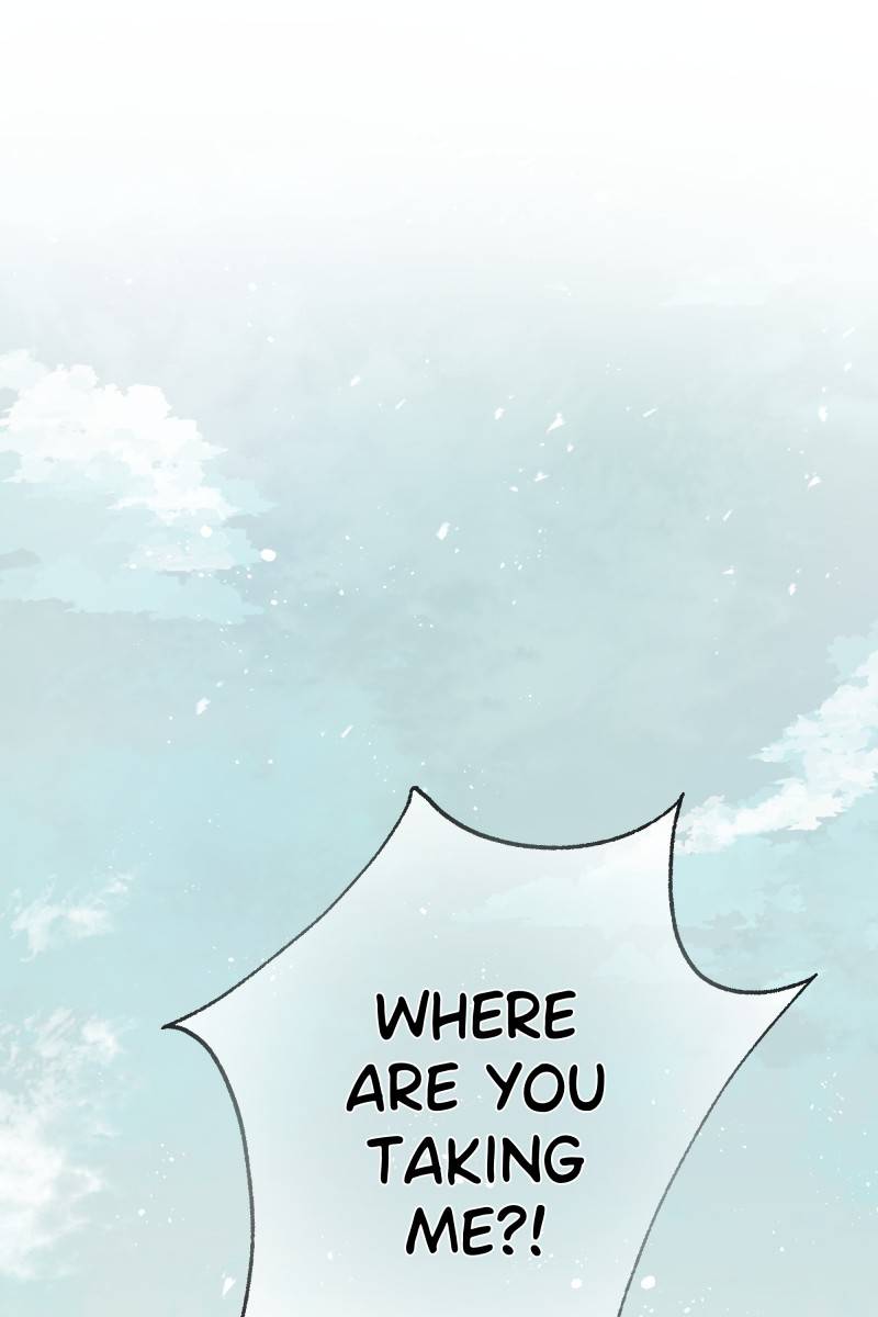 Rebirth chapter 167 page 1