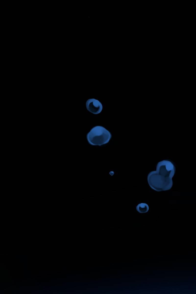 Rebirth chapter 177 page 111