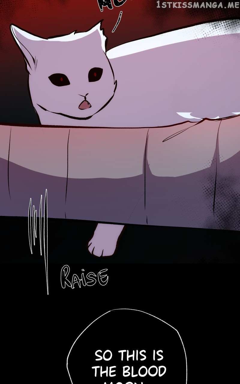 Rebirth chapter 193 page 65