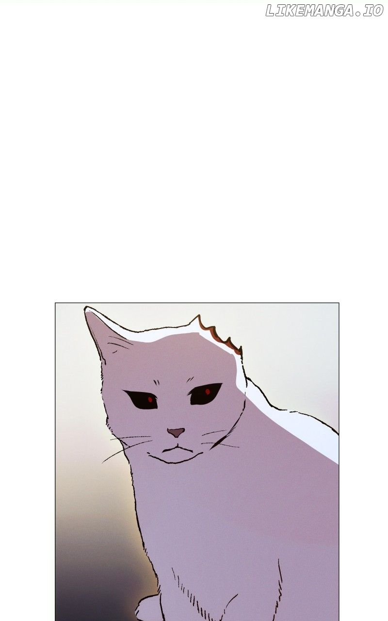 Rebirth chapter 217 page 49