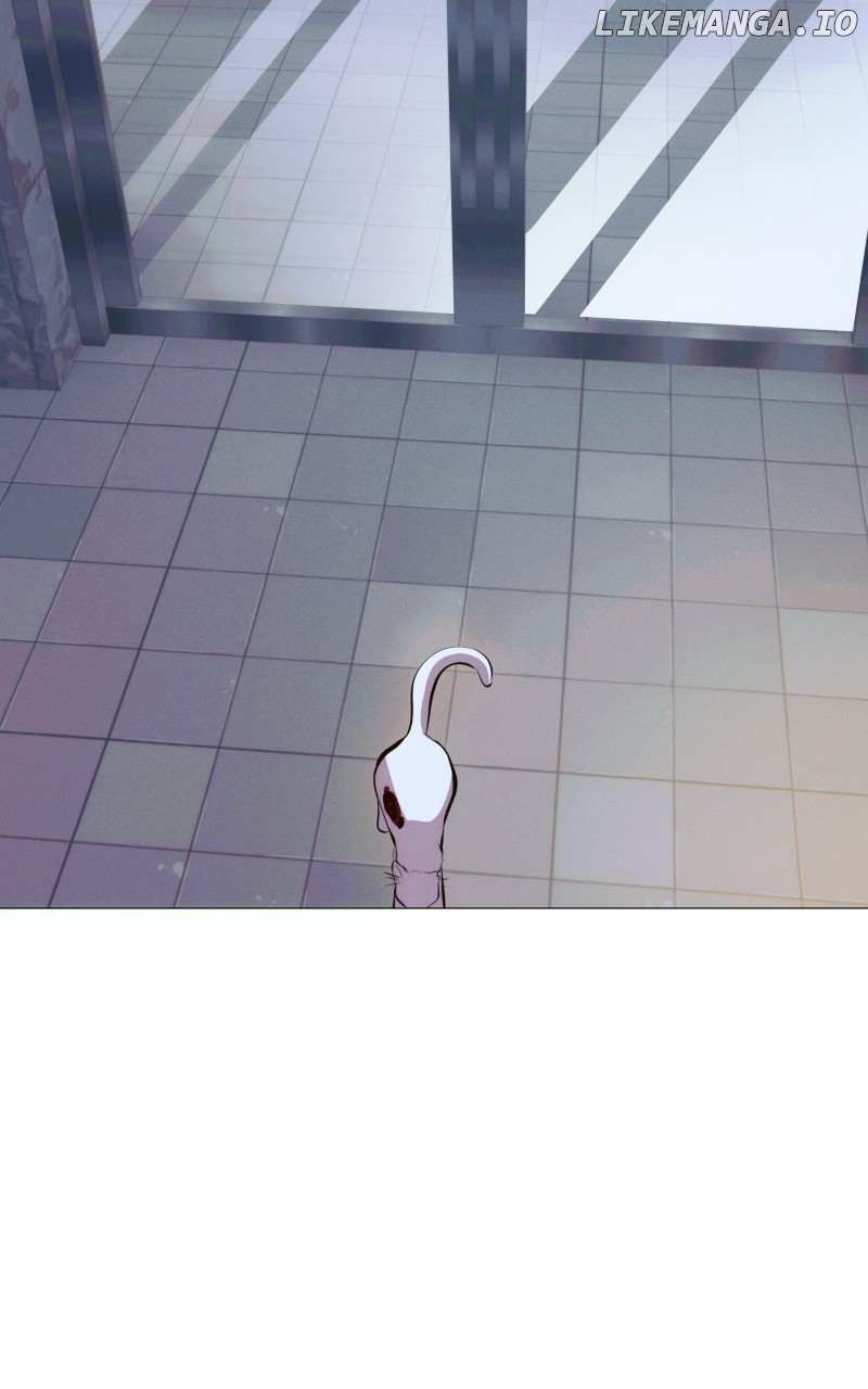 Rebirth chapter 217 page 51