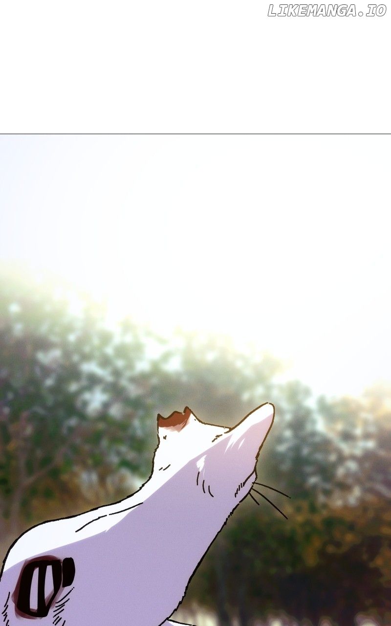 Rebirth chapter 219 page 88