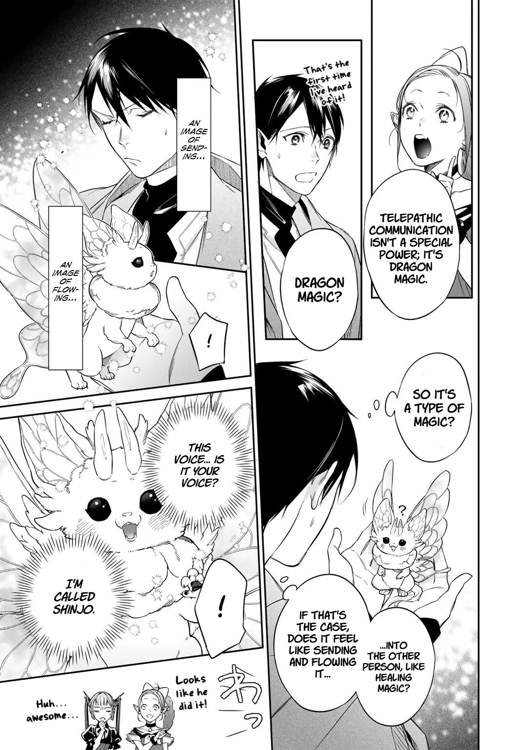 Reborn as a Barrier Master chapter 53 page 13