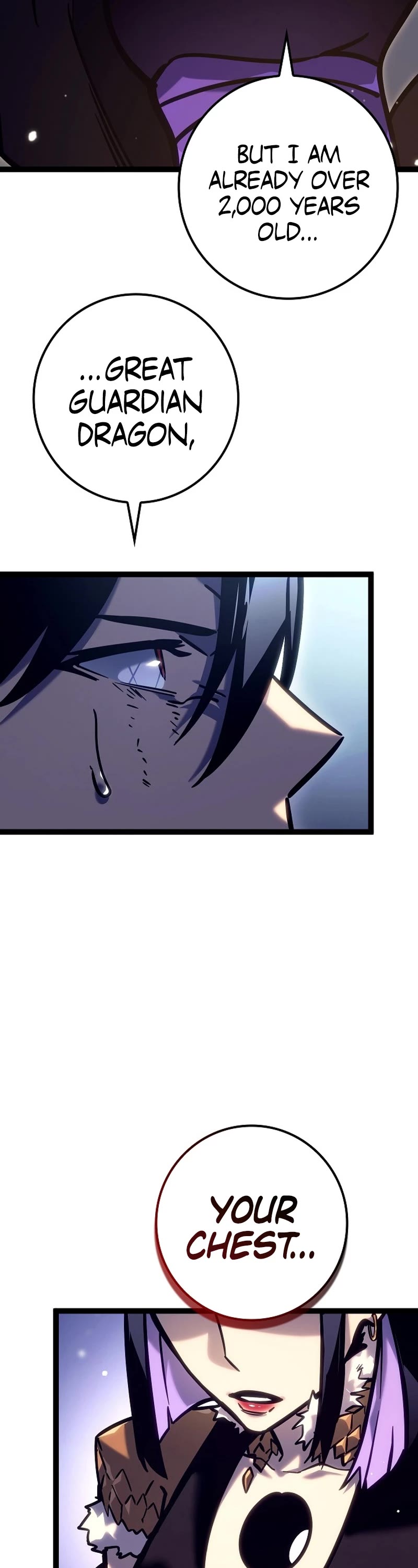 Regressing As The Reincarnated Bastard Of The Sword Clan chapter 25 page 29