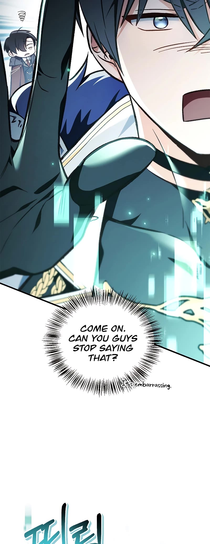 Regressor Instruction Manual chapter 101 page 51