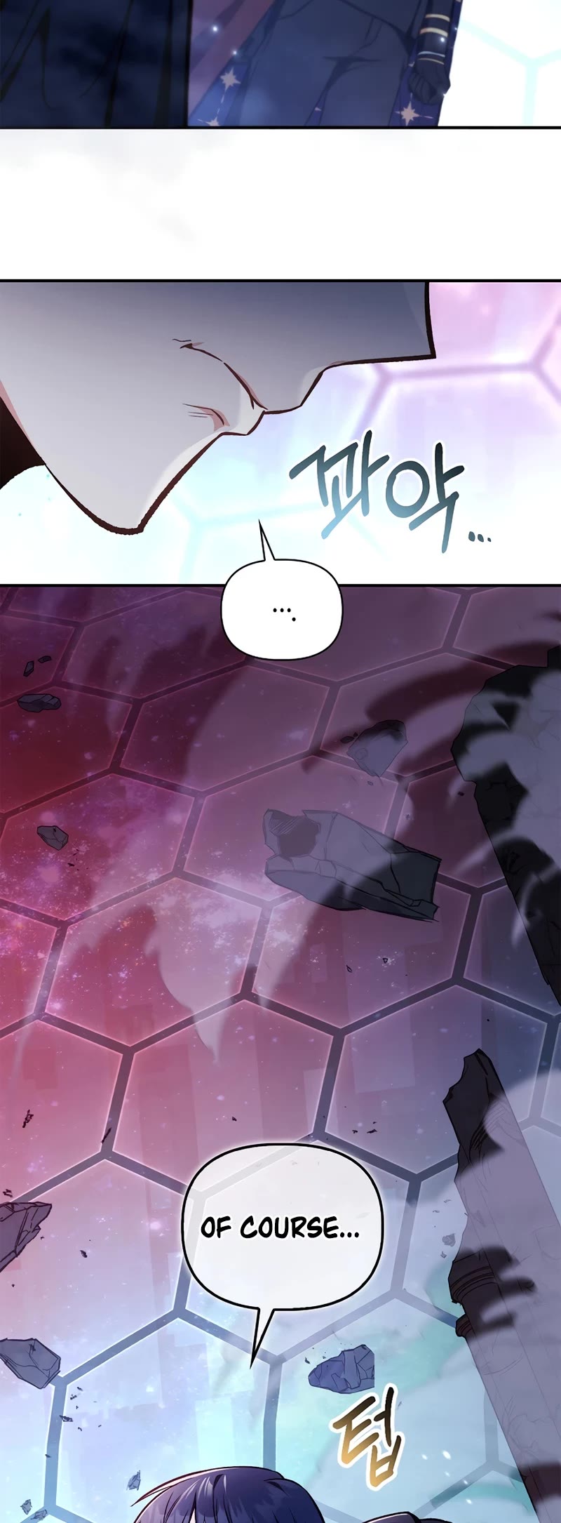 Regressor Instruction Manual chapter 102 page 39