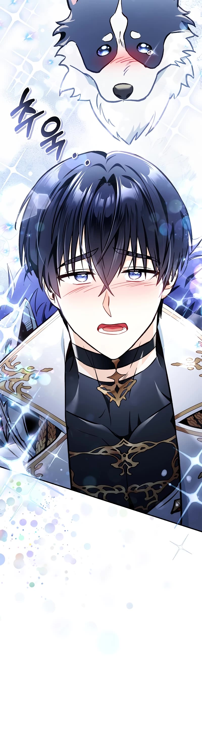 Regressor Instruction Manual chapter 103 page 20