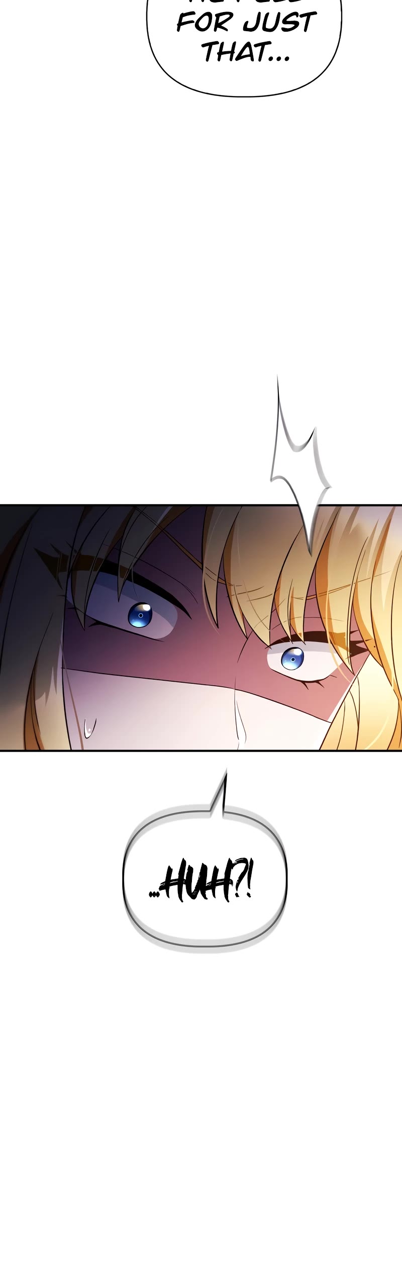 Regressor Instruction Manual chapter 110 page 21