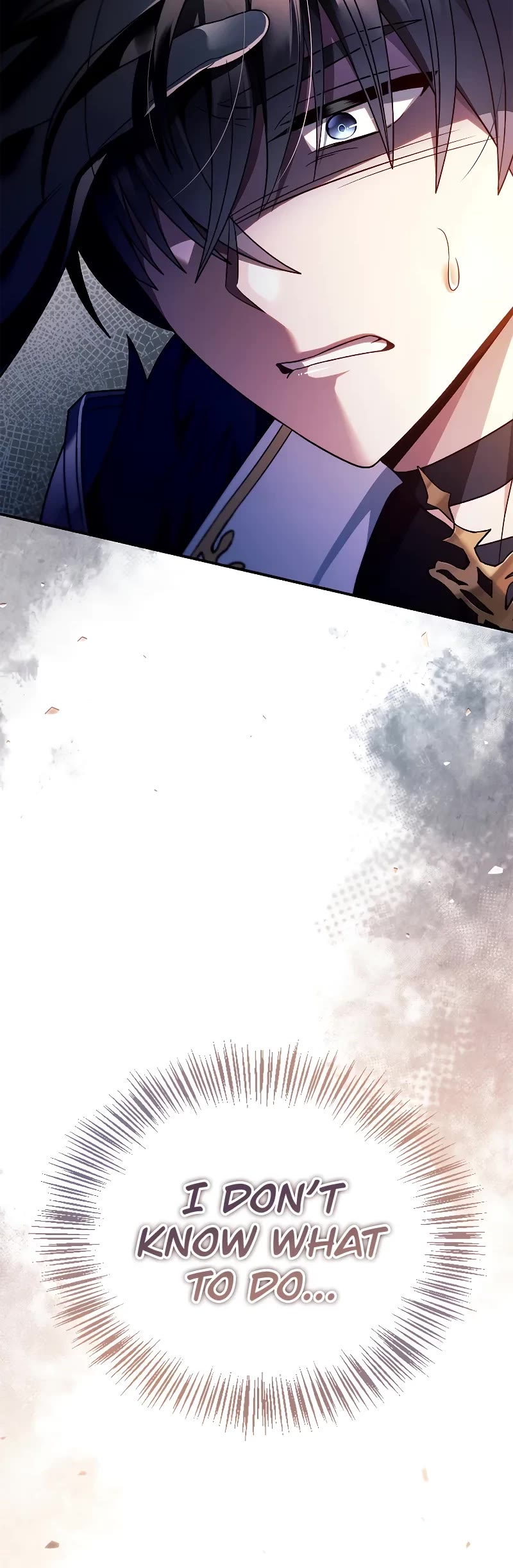 Regressor Instruction Manual chapter 118 page 51