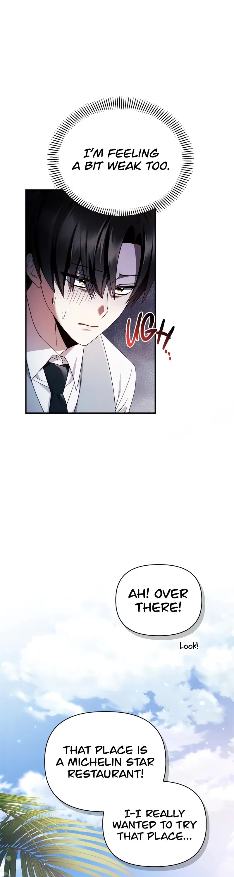 Regressor Instruction Manual chapter 120 page 27