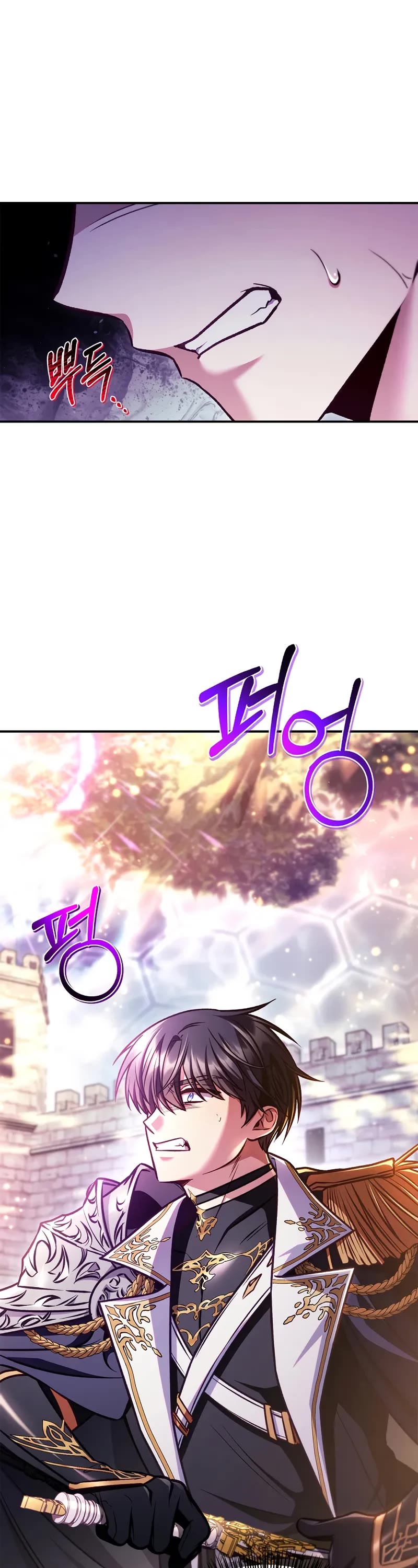 Regressor Instruction Manual chapter 142 page 23