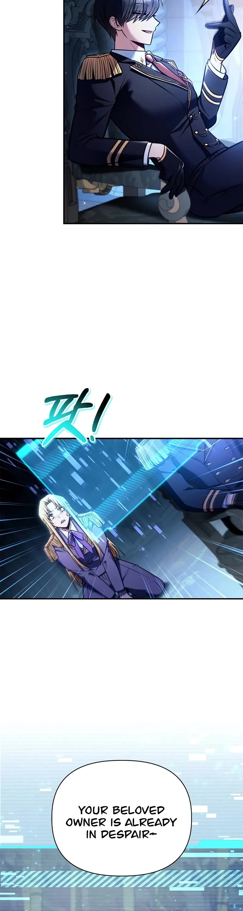 Regressor Instruction Manual chapter 146 page 27