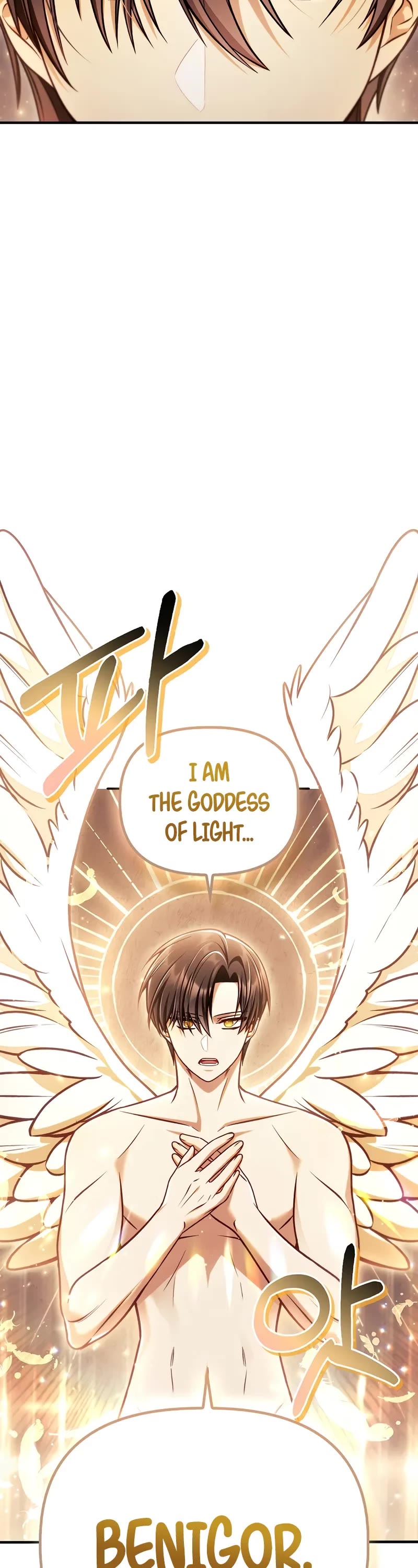 Regressor Instruction Manual chapter 150 page 10