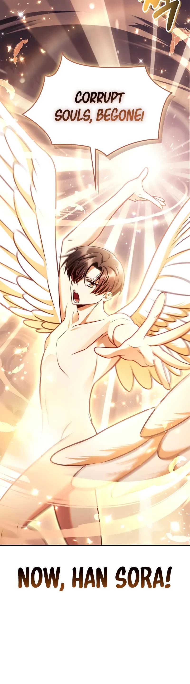 Regressor Instruction Manual chapter 150 page 45