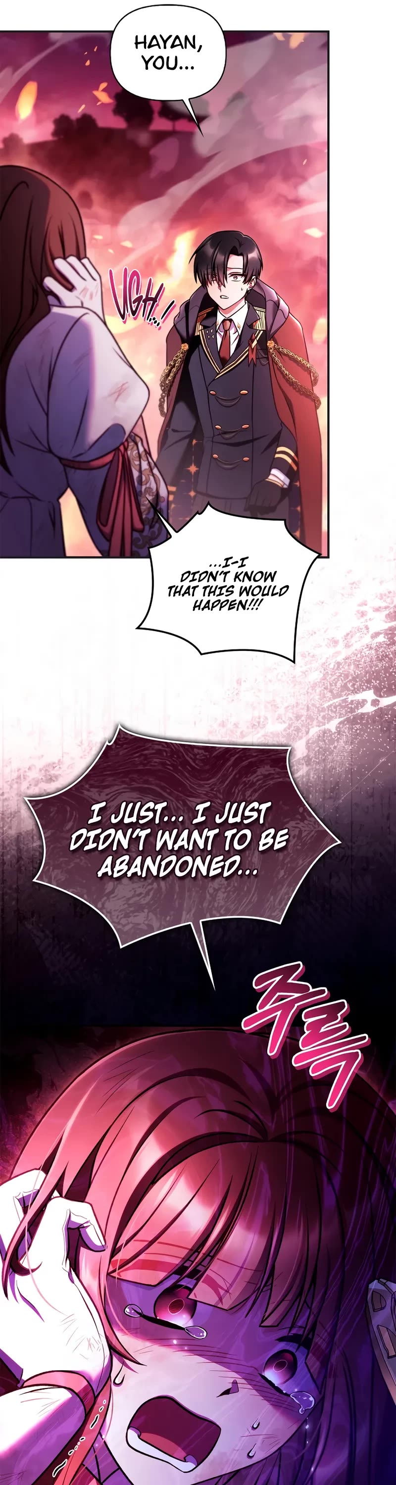 Regressor Instruction Manual chapter 161 page 21