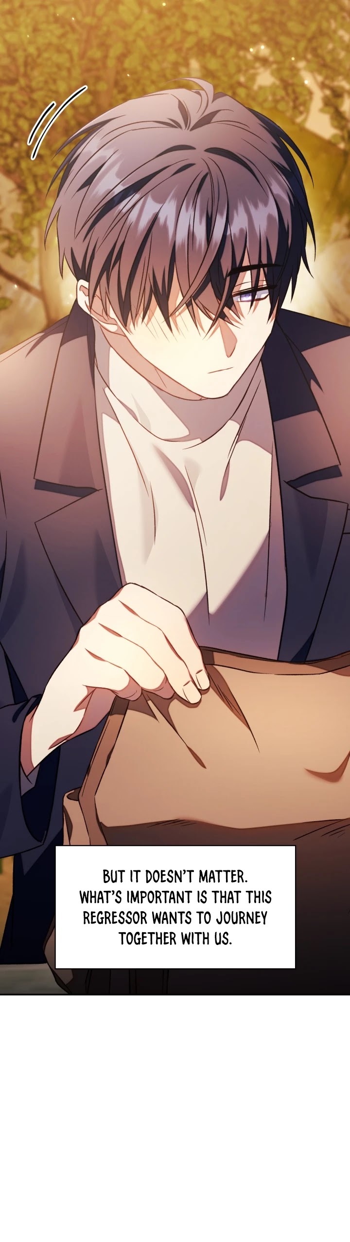 Regressor Instruction Manual chapter 20 page 15