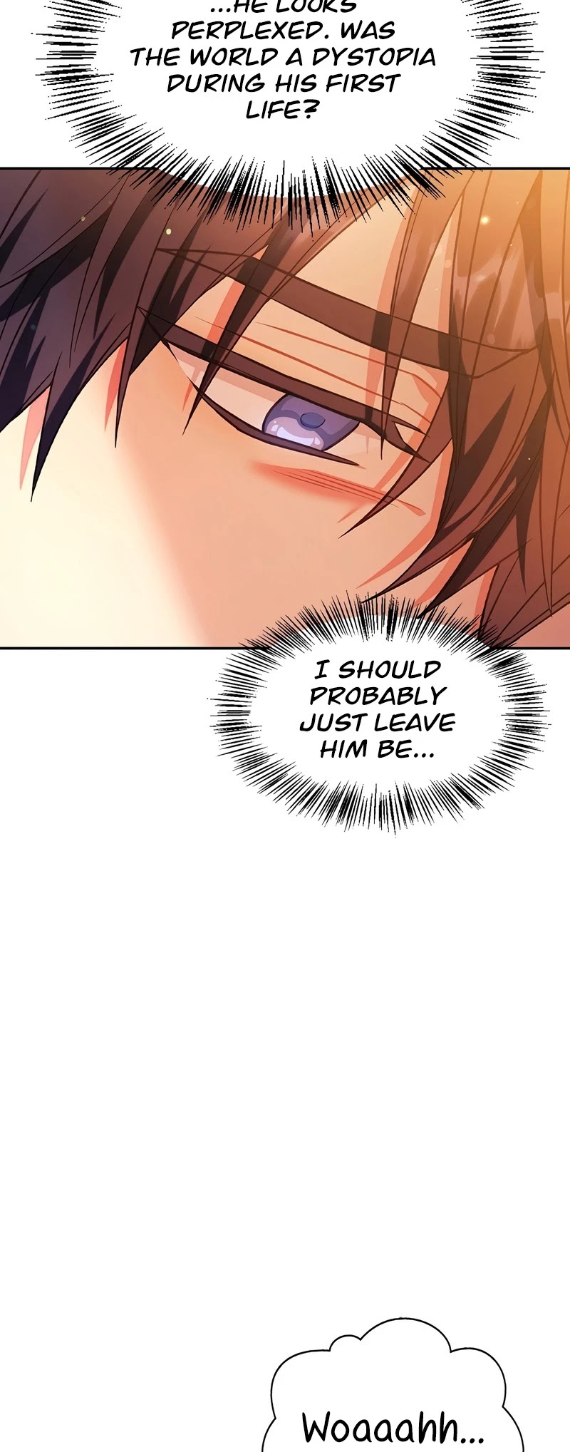 Regressor Instruction Manual chapter 42 page 35