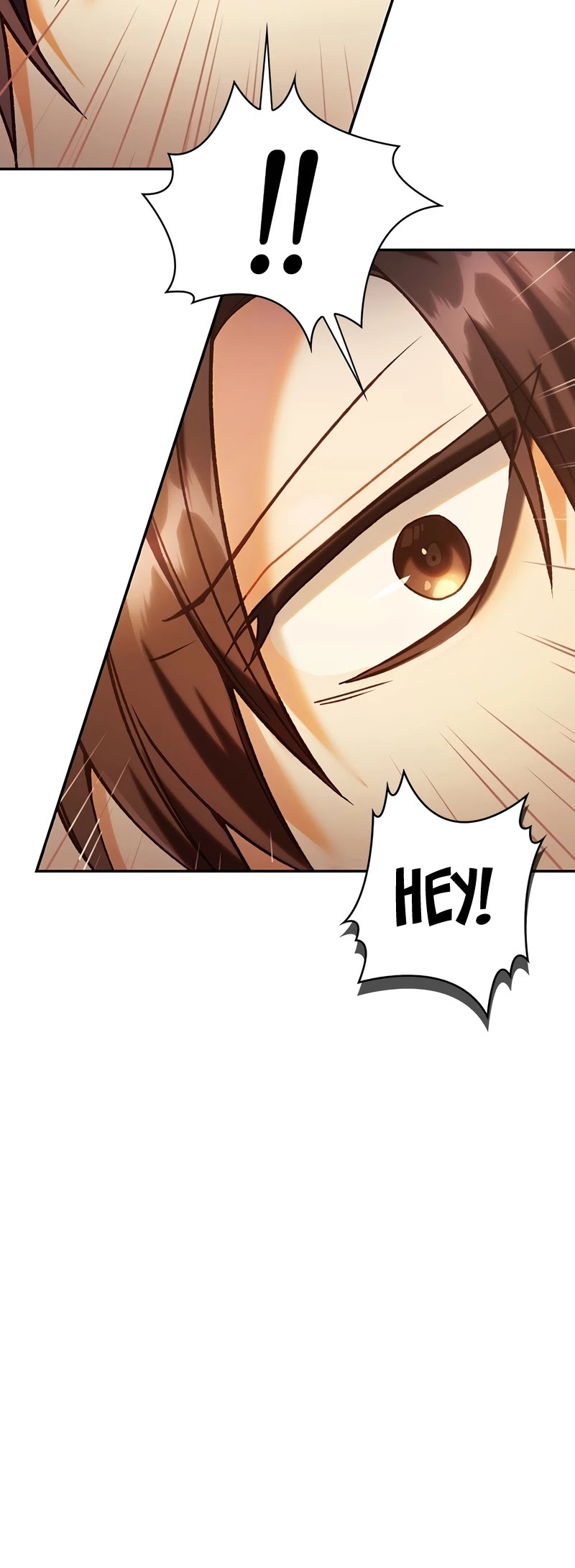 Regressor Instruction Manual chapter 43 page 8