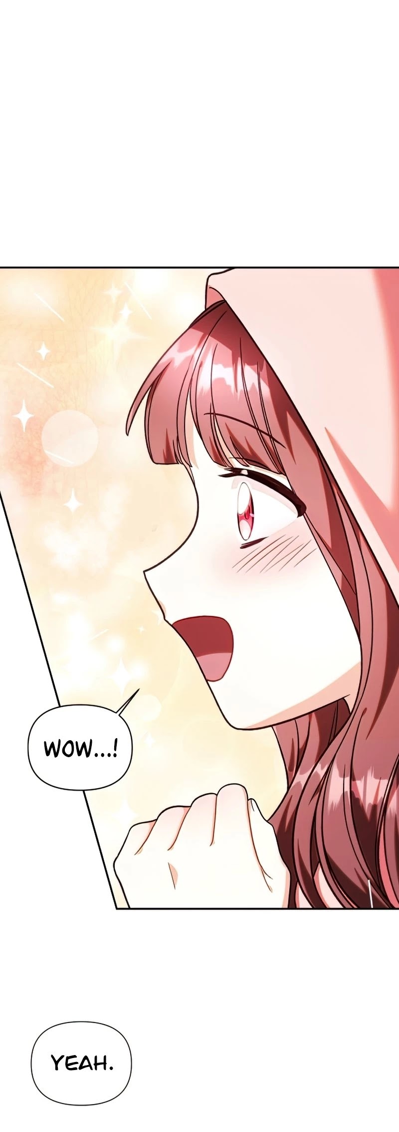 Regressor Instruction Manual chapter 48 page 62