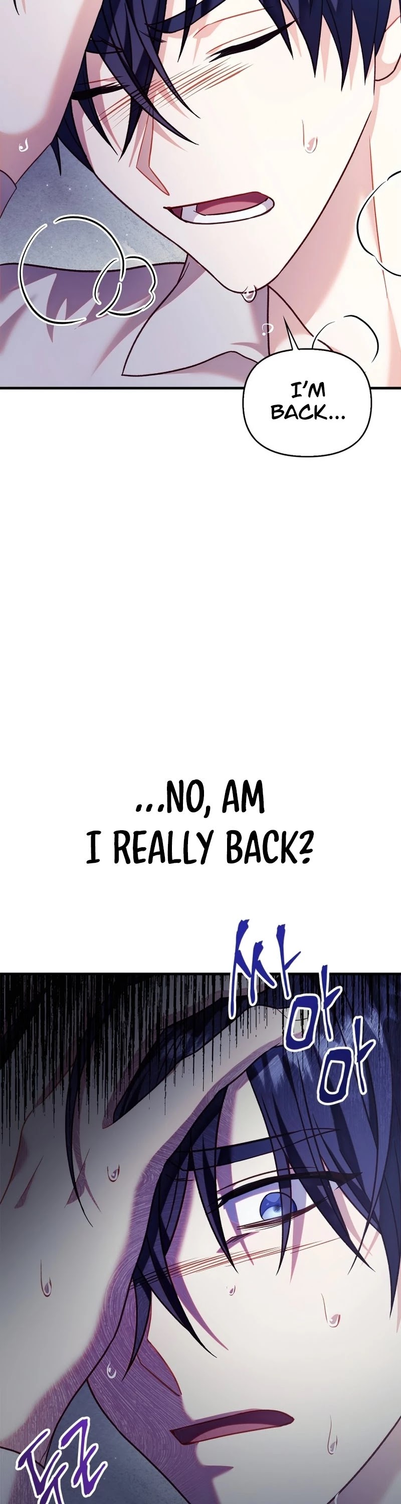 Regressor Instruction Manual chapter 54 page 48