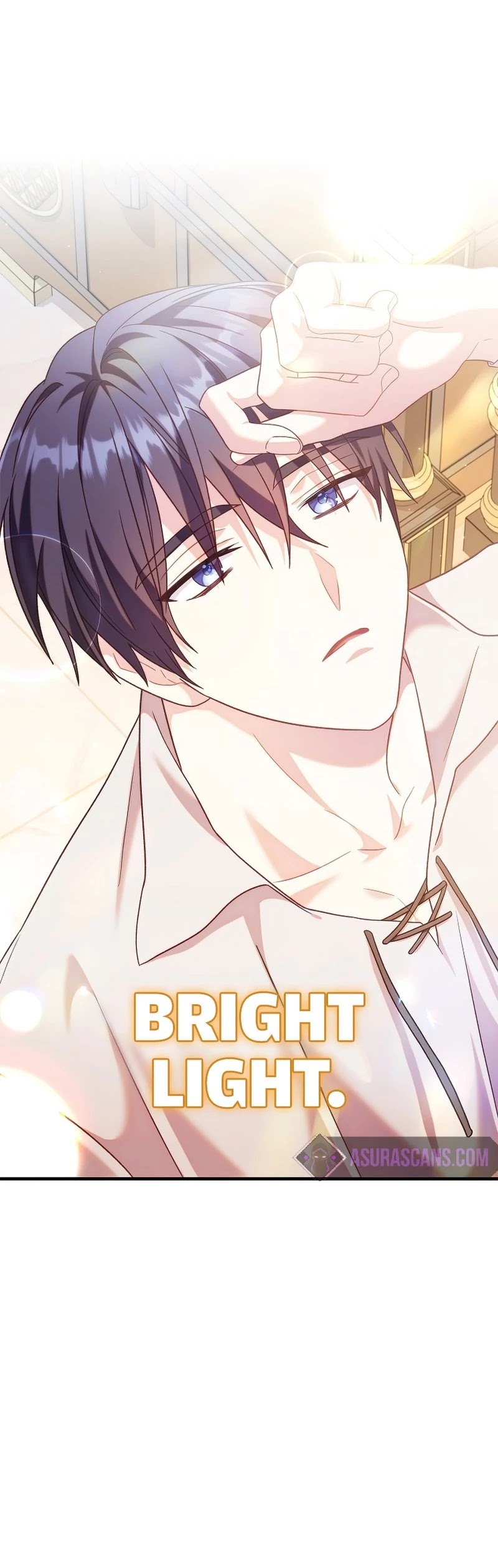 Regressor Instruction Manual chapter 54 page 51